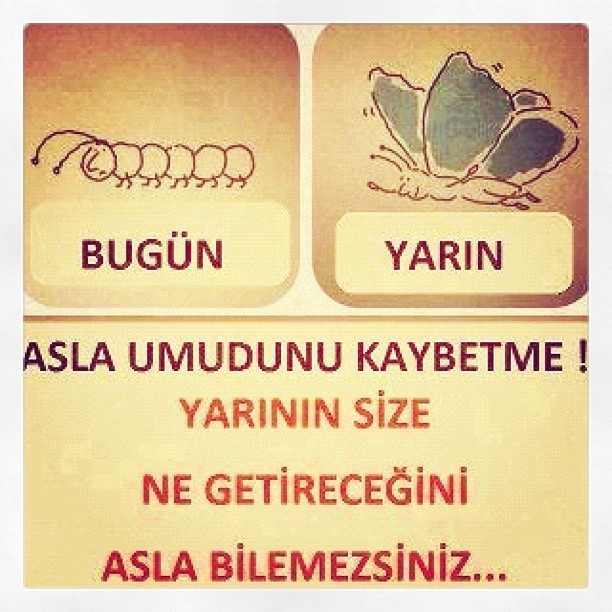 Hayata karşı umudunuzu kaybettiğiniz oldu mu?