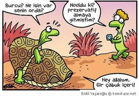 Yazın şapka takıyor musunuz?