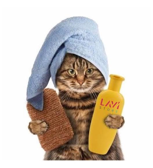 Kedi yıkamak zararlı mı sizce?