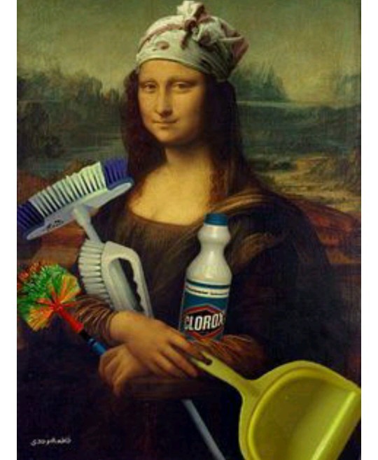 Mona Lisa evinize temizliğe gelseydi ne yapardınız?