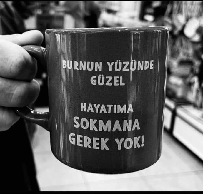 Herşeye karışırmısınız?