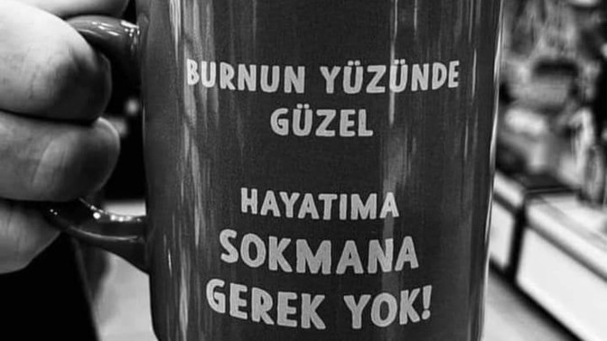 Herşeye karışırmısınız?