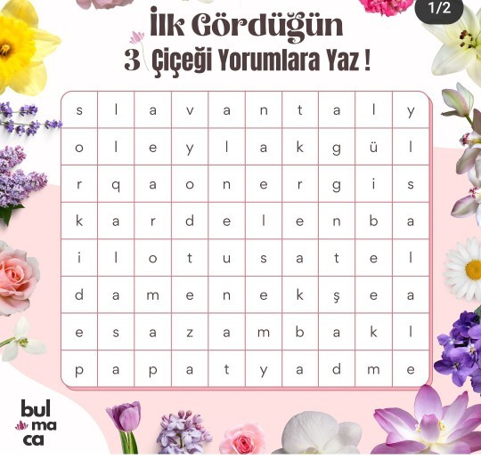 Gördügün ilk 3 çiçeği yoruma yaz?