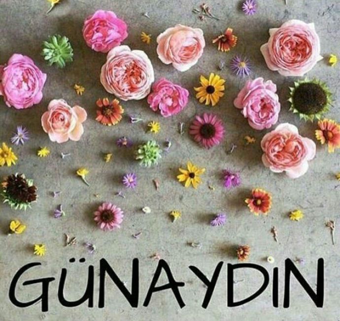 Günaydın.. ☀️ Size bu çikolatalardan ikram eder miyim söyleyeyim mi?