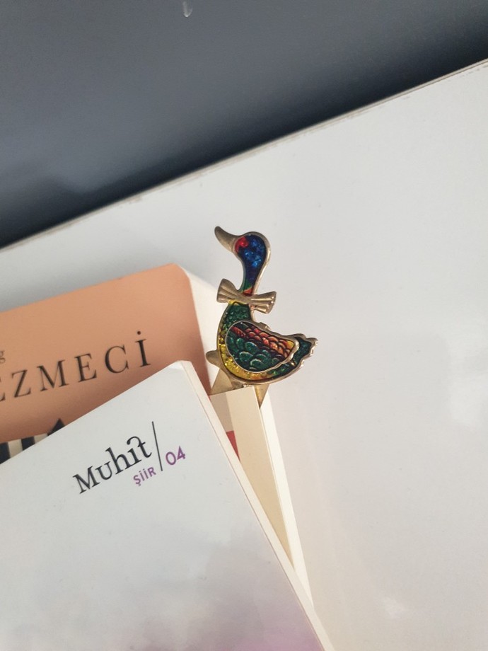 Kitap ayracı kullanıyor musunuz?