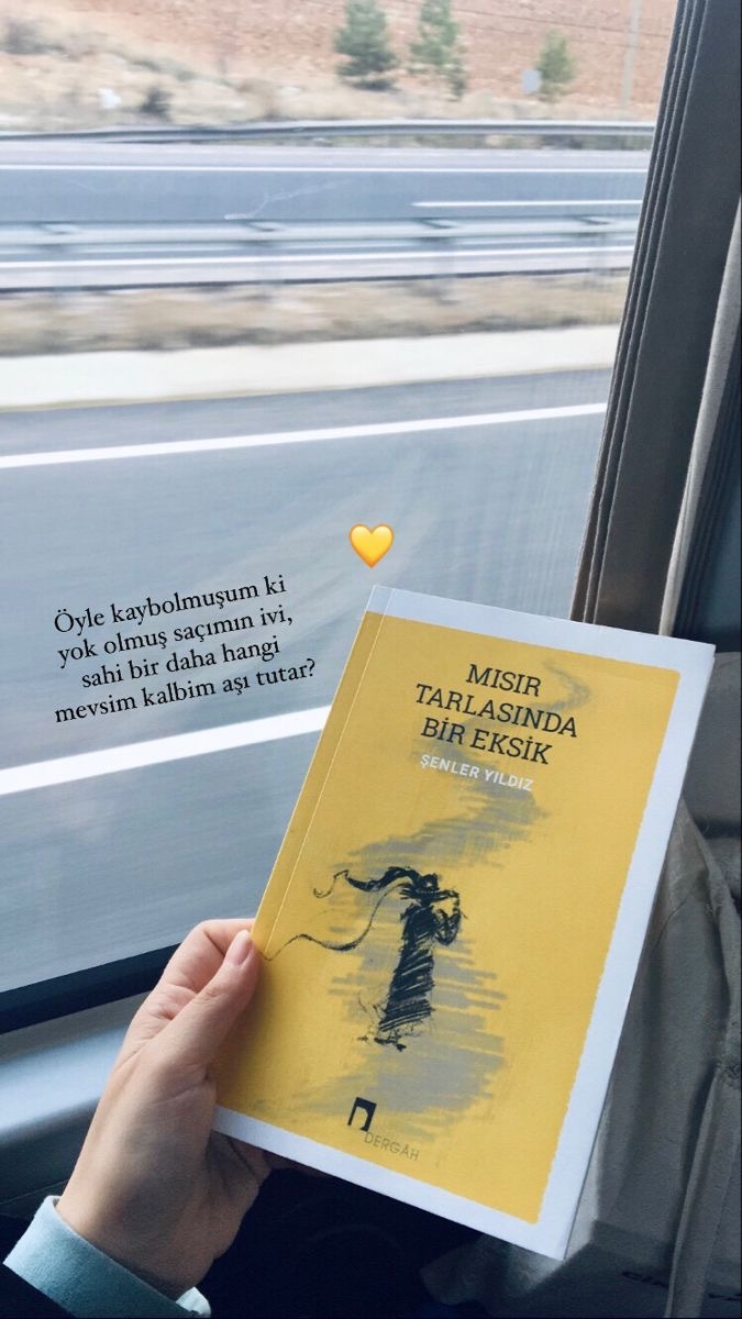 Yolculuk yaparken yanınıza kitap alır mısınız?