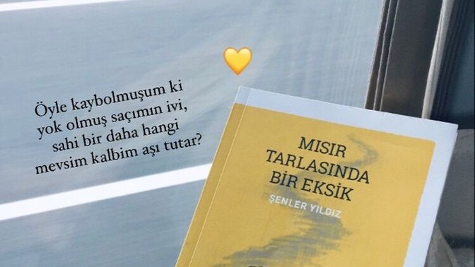 Yolculuk yaparken yanınıza kitap alır mısınız?