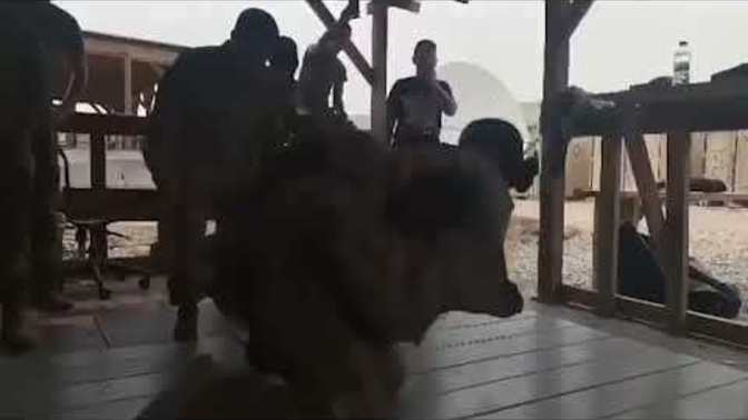 Amerikalı kadın ve erkek asker güreşti?