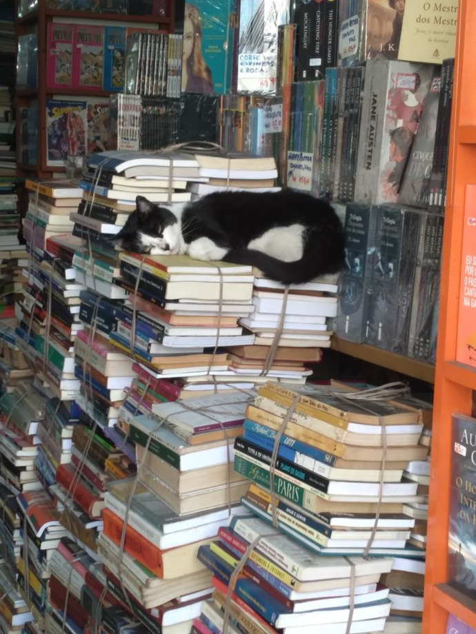 İkinci el kitap almayı tercih edersiniz yoksa sıfır kitap mı?