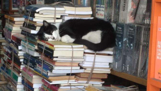 İkinci el kitap almayı tercih edersiniz yoksa sıfır kitap mı?