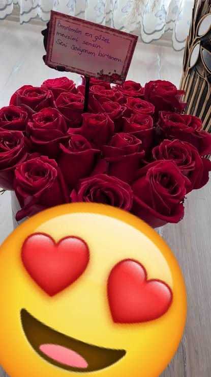 #nirhamm 🔴 🔴 🔴 🔴