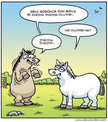 Aşık olunca hangi duygular oluşur?
