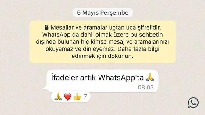Mesajlara cevap olarak sadece mesaja emoji ifadesi koyan insanlar saygısızlık yapmıyor mu?