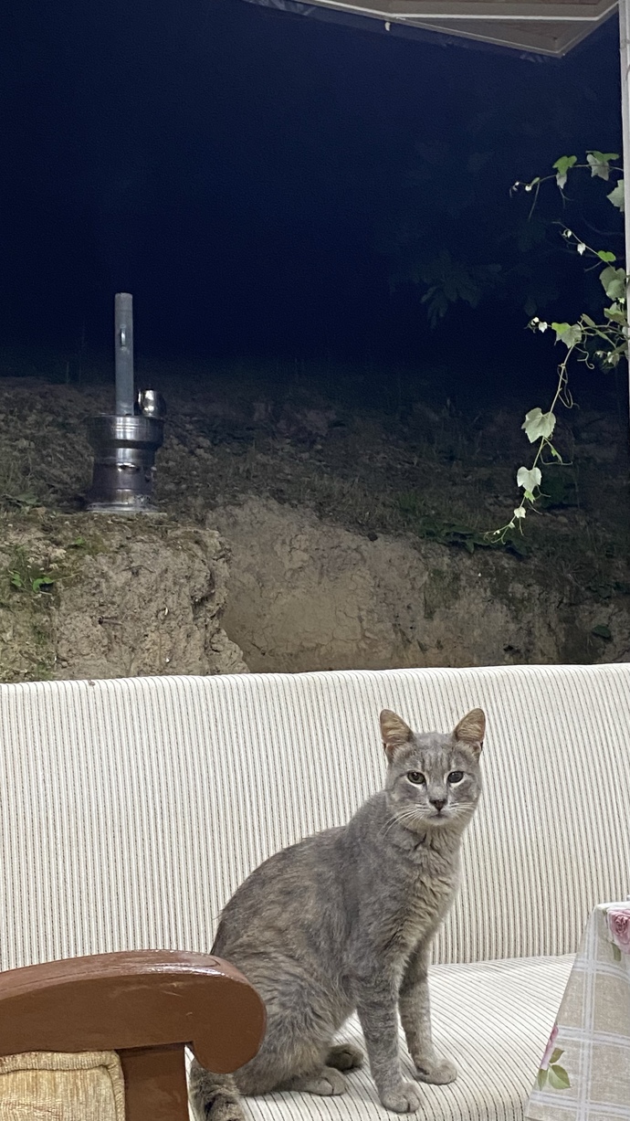 Arkadaşlar ortam nasıl?