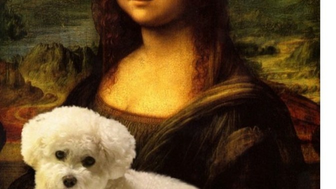Mona Lisa nın köpeğinin adı ne olsun?