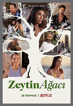 Zeytin ağacı dizisini izlediniz mi?