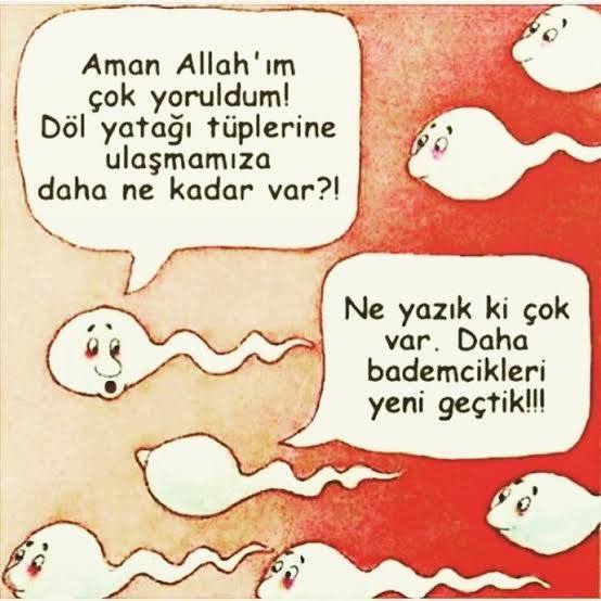Oral yaparken lezzetli bir şeyler yiyormuş gibi şapurtulu sesler çıkaran kadınları sever misiniz?