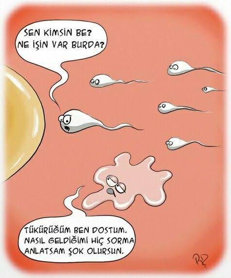Oral yaparken lezzetli bir şeyler yiyormuş gibi şapurtulu sesler çıkaran kadınları sever misiniz?