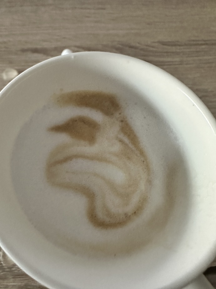 cappuccino falımda çıktın yılaaaan 🐍
