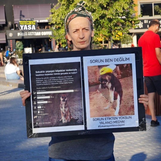 Köpeklerin Toplatılması, Uyutulması veya Kısırlaştırılması Hakkında Ne Düşünüyorsunuz?
