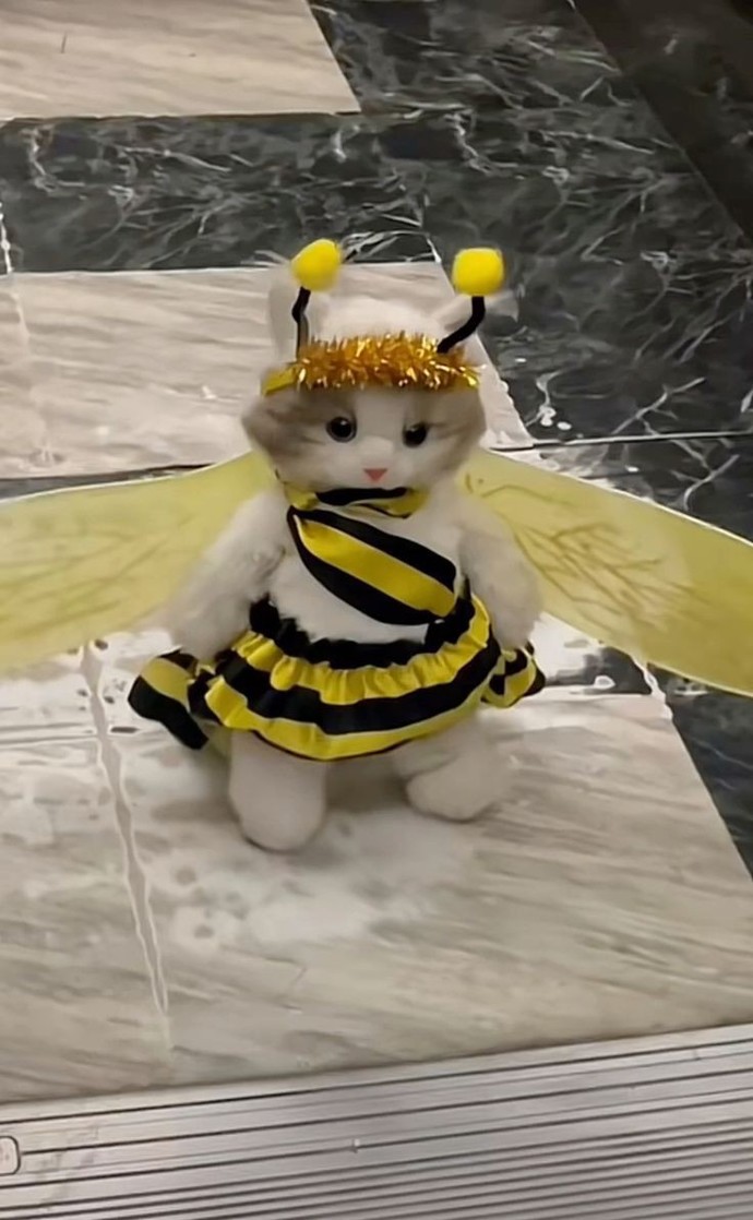 Mutlu uyanmanın sebebi ne olabilir?