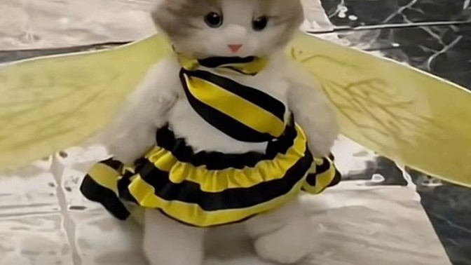 Mutlu uyanmanın sebebi ne olabilir?