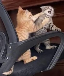 Sürekli kavga ettiğiniz biri var mı?