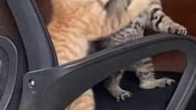 Sürekli kavga ettiğiniz biri var mı?