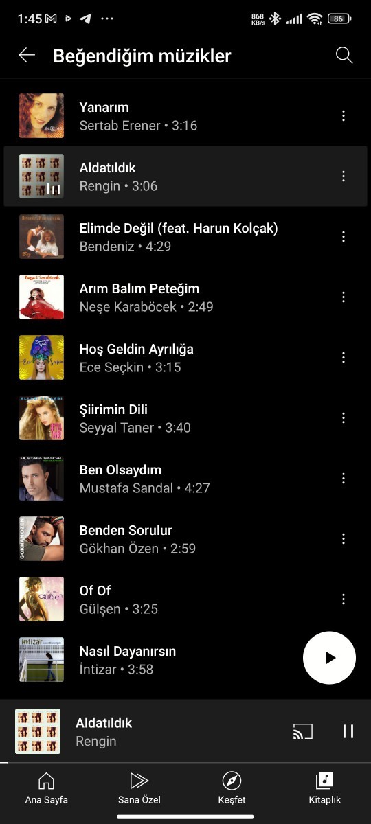 Zevksiz benmiyim böyle müzik dinliyorum diye?