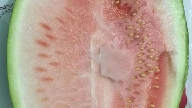 Bir karpuz aldım kan hey maşallah hey, biliyorum ben bu işi 🤭🤭nasıl seçim ama? bi afiyet olsun alırım karpuzuda kıskanmayın🤭🤭?
