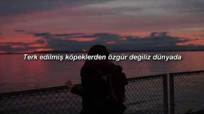 Gecene hangi şarkı eşlik ediyor?