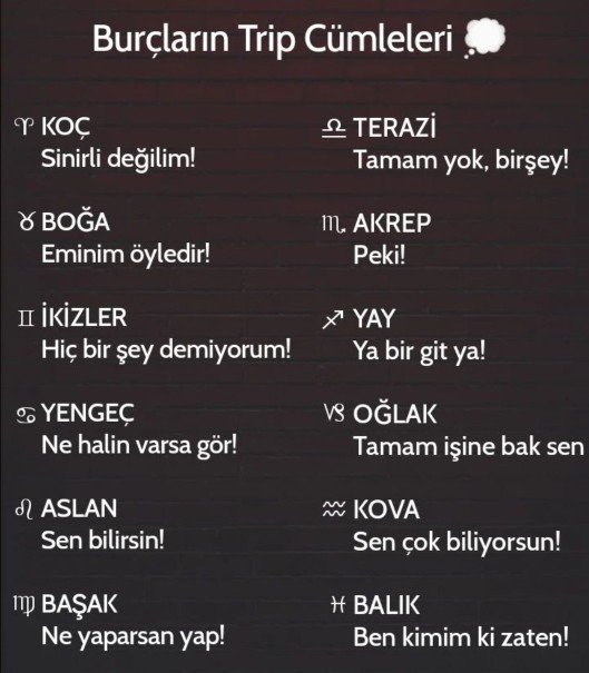 Burçların trip cümleleri sizin ki nedir?