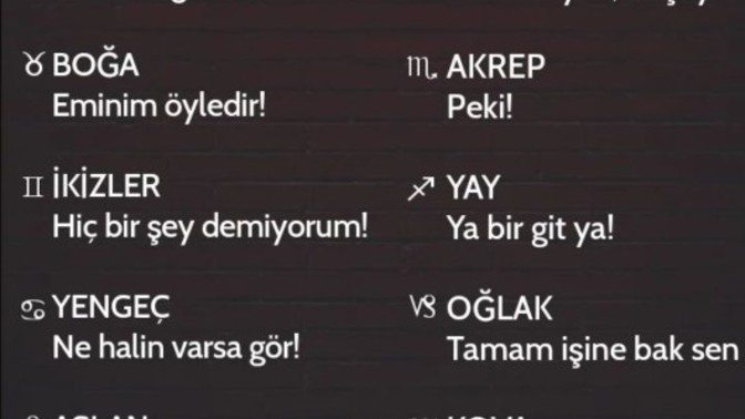 Burçların trip cümleleri sizin ki nedir?
