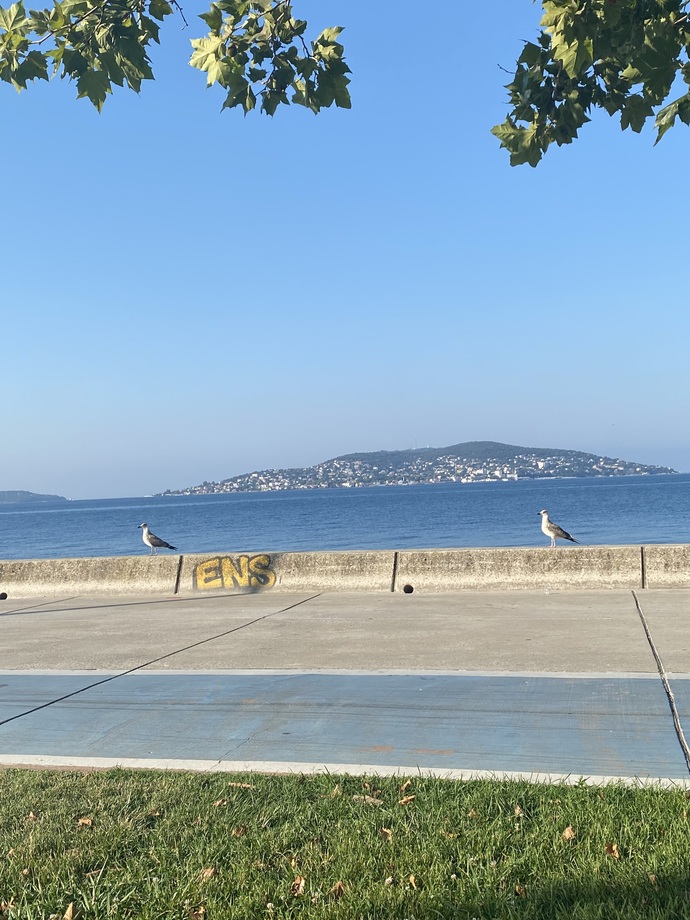 Pazar günü maviyle mi başlamalı yeşille mi?