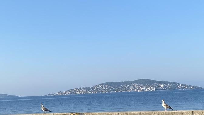 Pazar günü maviyle mi başlamalı yeşille mi?