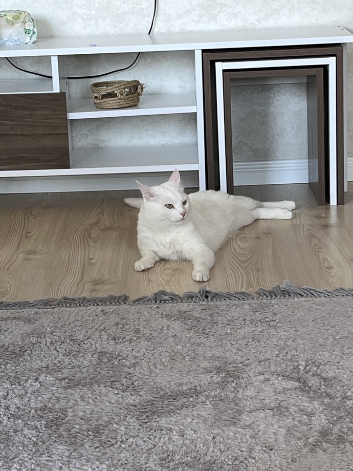 BBak şu zilliye?
