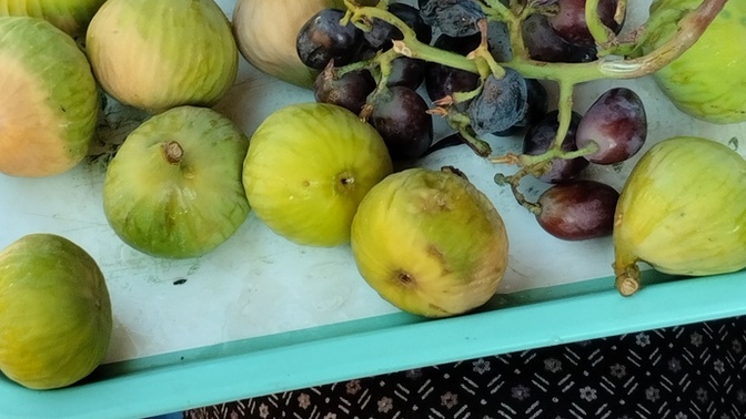 Mevsiminde yenilen en güzel meyve/sebze ne?