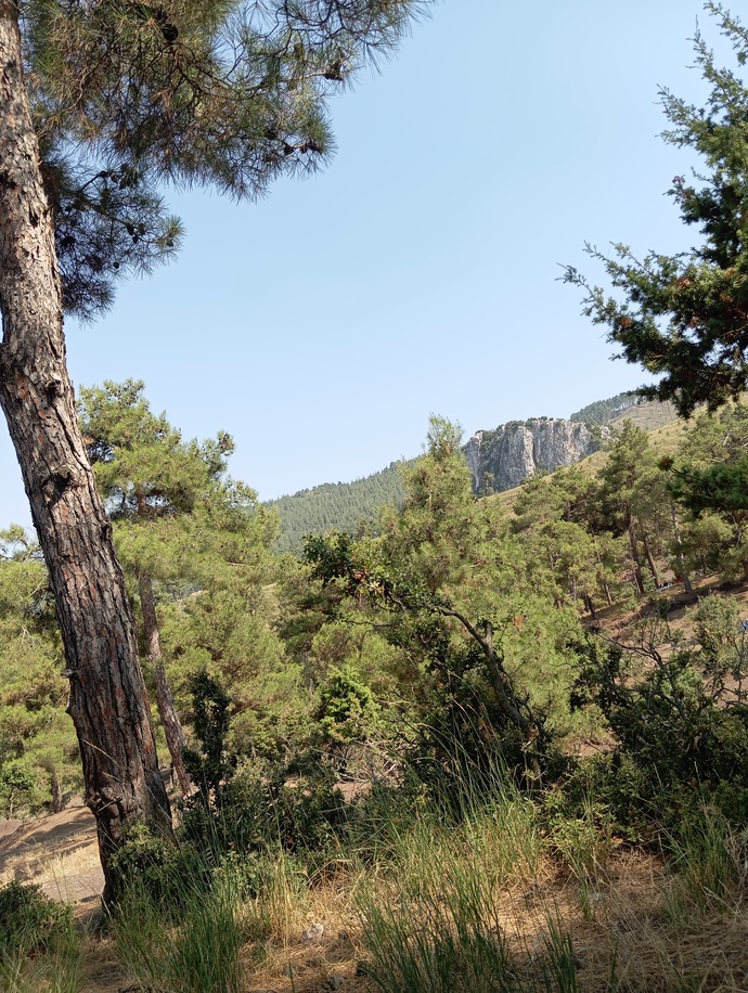 Huzur bulmak icin doğa doğru yer mi?
