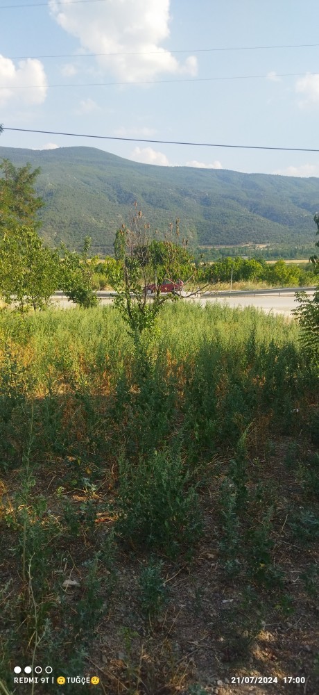 Huzur bulmak icin doğa doğru yer mi?