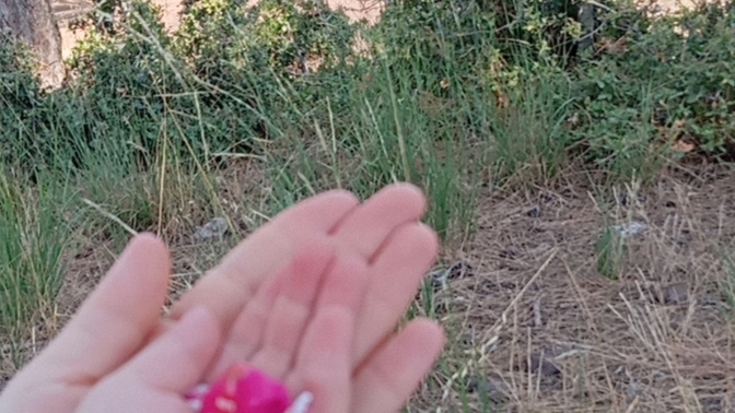 Huzur bulmak icin doğa doğru yer mi?