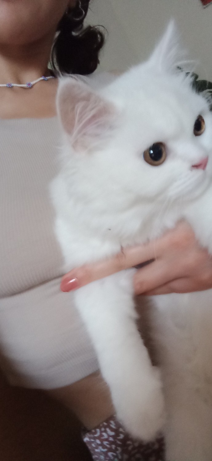 Çoğu insanın can attığı, senin sevmediğin/ istemediğin şey ne?