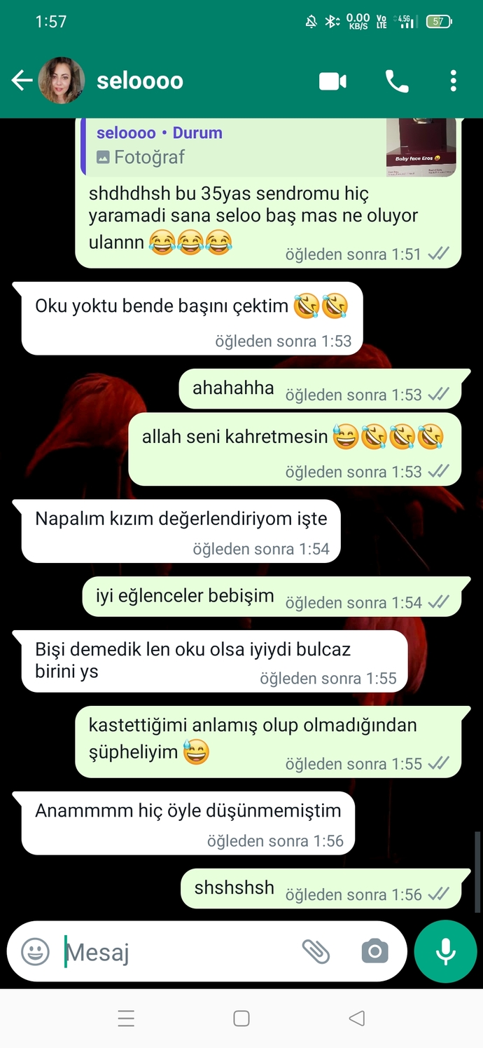 bazenn sjsjsj