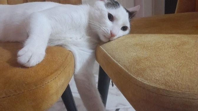 Sıcak hava planlarınızı bozuyor mu?