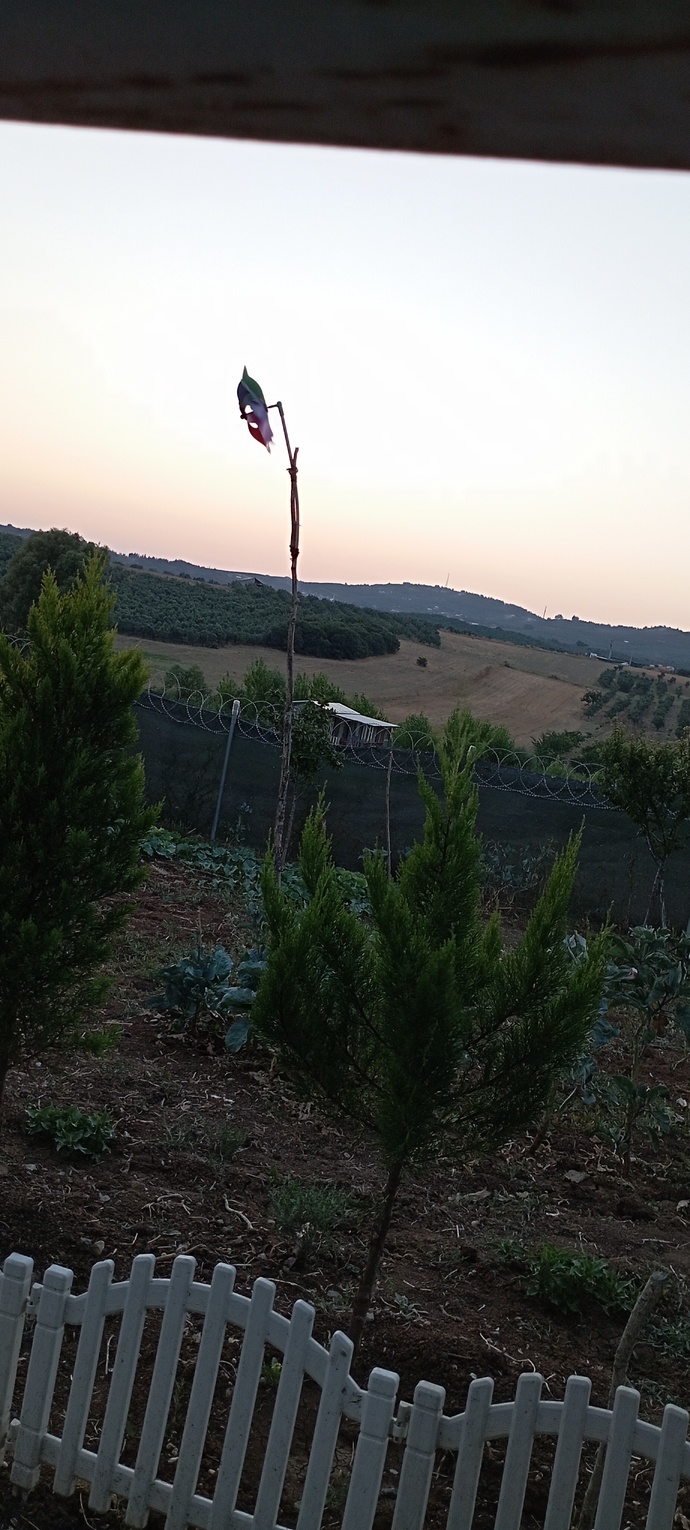 Şu an ne görüyorsunuz?