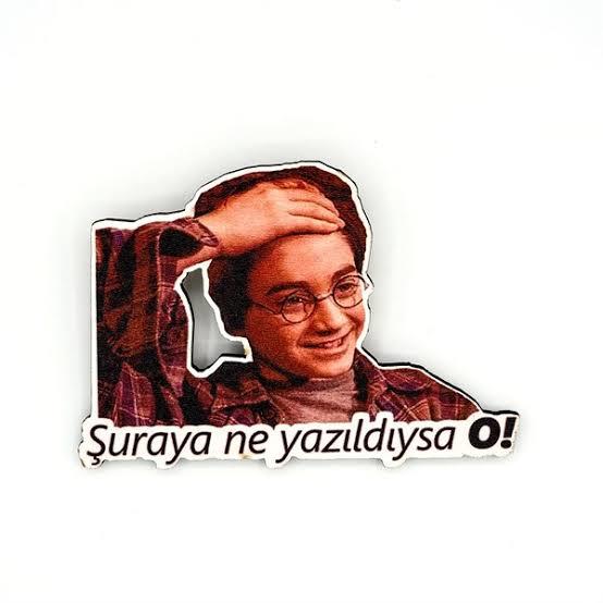 Sizce tırtılım ne renk bi kelebek olacak?