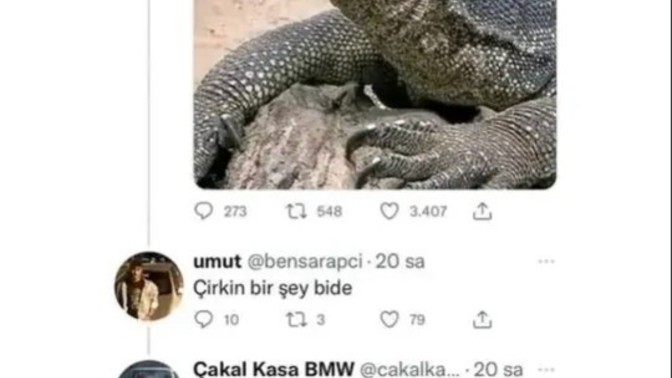 Niye bu tür olaylar oluyor?