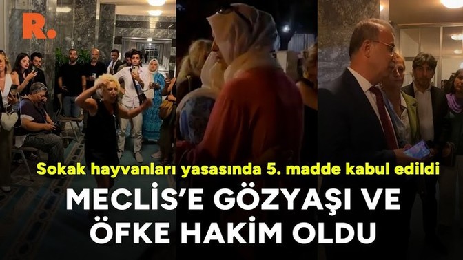 Sokak hayvanları yasasında 5. madde kabul edildi:Meclise göz yaşı hakim oldu Sizce sokak hayvanları uyutulmalı mı?