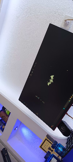Saat Kaç Olursa Olsun Dediğiniz Vakitler?