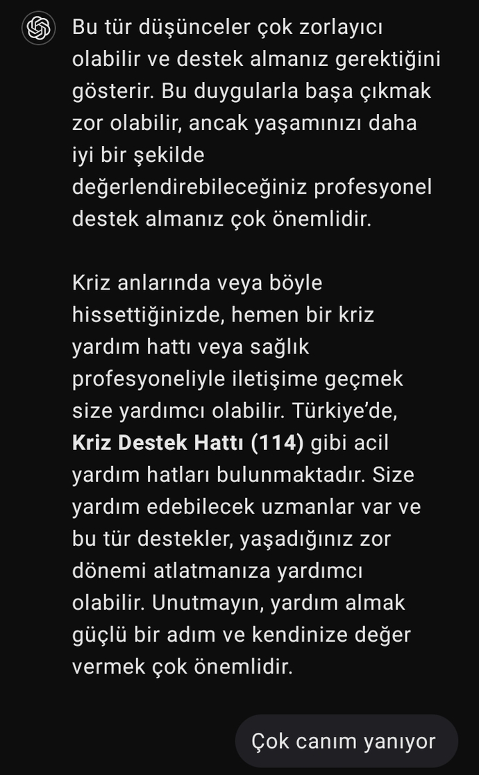 Dertleşecek kimsen olmayınca, yapay zekayla dertleşiyorsun işte!.. Sizin dertleşeceğiniz birileri var mı?
