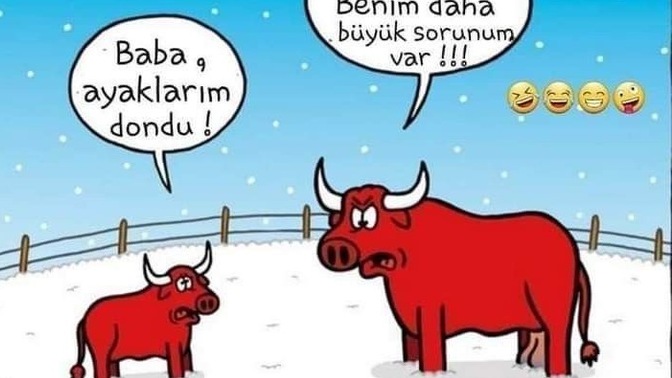 Sorunlarınızla nasıl başa çıkıyorsunuz?